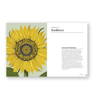 Page spread from Floraphile's Almanac features a chapter on the Sunflower alongside a full-page color illustration of the flower