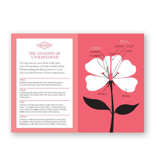 Page spread from Flower Finding features a section titled, "The Anatomy of a Wildflower alongside a diagrammed illustration