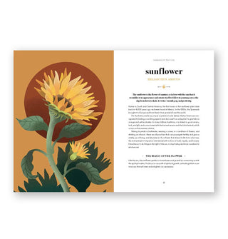 Page spread from Flower Magic: The Secret Language of Flowers features a chapter introduction on the sunflower alongside colorful full-page illustration