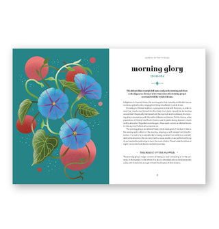 Page spread from Flower Magic: The Secret Language of Flowers features a chapter introduction on the morning glory alongside colorful full-page illustration