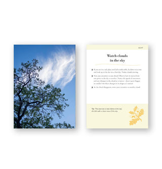 Front and back of a sample card from the Forest Bathing deck features a photograph of the upper branches of a tree against a blue sky with wispy clouds and bulleted guide to "Watch clouds in the sky"