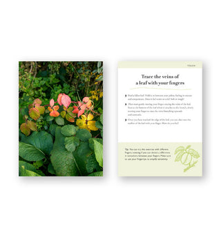 Front and back of a sample card from the Forest Bathing deck features a photograph of colorful leaves on the forest floor and bulleted guide to "Trace the veins of a leaf with your fingers"