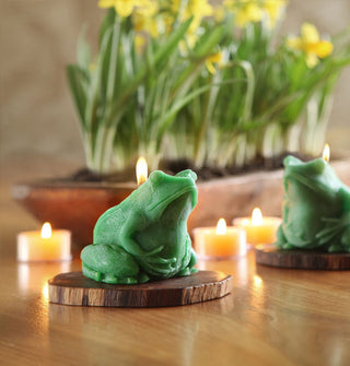 Two lit green beeswax frog candles are staged on small wooden platforms and surrounded by tea light candles in front of a planter of yellow flowers