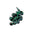 SE Dark Green
