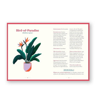 Page spread from The Green Dumb Guide to Houseplants features a section on the Bird-of-Paradise with illustration of the plant