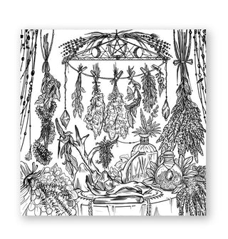 Page from The Green Witch's Coloring Book features an illustration of hanging dried herbs and other botanica