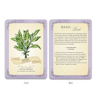 Front and back of the Basil card from The Green Witch's Deck
