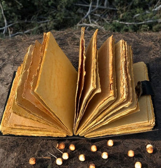 Open notebook with deckle edge pages is staged on a dirt surface surrounded by wild greens and ember-like orbs