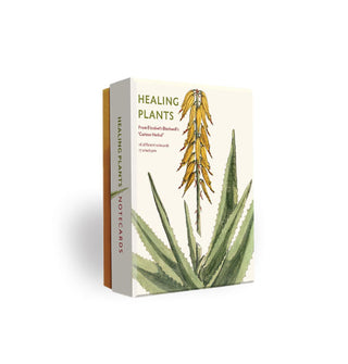 Box of Healing Plants notecards featuring an enlarged illustration of an aloe flower