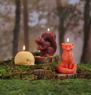 Lit sculpted yellow hedgehog, brown squirrel, and orange fox beeswax candles staged on mossy tree slices against a forest backdrop