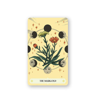 Herbana Witch Oracle