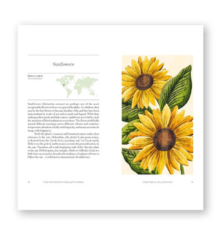 Page spread from The Hidden Histories of Flowers features a section titled, "Sunflowers" from the chapter titled, "Pollination" with accompanying illustration