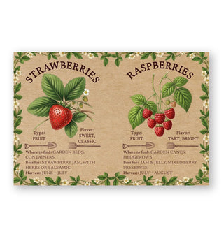 Page spread from Homegrown Jams features sections on Strawberries and Raspberries with illustrations