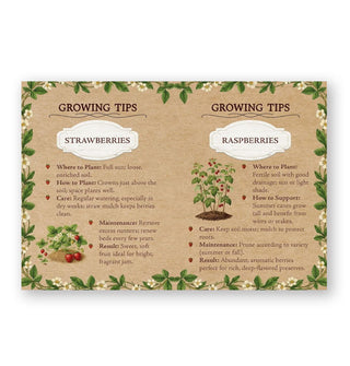 Page spread from Homegrown Jams features growing tips for Strawberries and Raspberries with illustrations