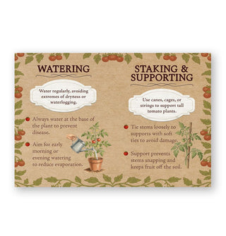 Page spread from Homegrown Tomatoes features sections on Watering and Staking & Supporting with illustrations