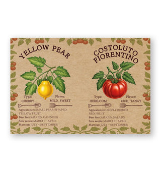 Page spread from Homegrown Tomatoes features sections on Yellow Pear and Costoluto Fiorentino with illustrations