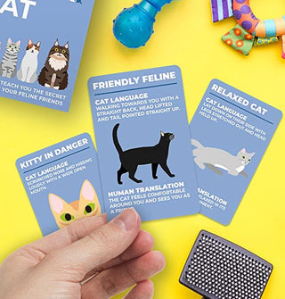 Model's hand holds a Friendly Feline card from the How to Speak Cat deck, with other cards spread out in the background on a yellow surface with cat toys and grooming brush