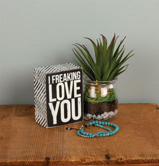 I Freaking Love You box sign is staged with a potted succulent and beaded bracelet on a wooden tabletop
