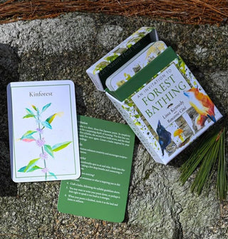 Deck box and sample Kinforest card from An Invitation to Forest Bathing rest on a stony surface flanked with pine needles