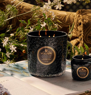 Lit multi-wick Jardin de Verveine Voluspa candle in textured black glass vessel rests on top of an opened book with a smaller candle of the same scent and glass in front of a botanical backdrop