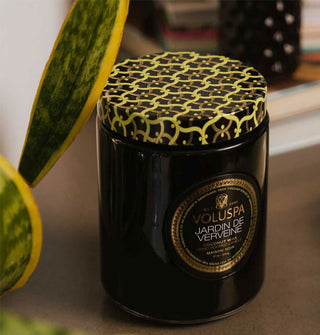 Voluspa Jardin de Verveine black jar candle with lattice-patterned tin lid is staged alongside Dracaena trifasciata