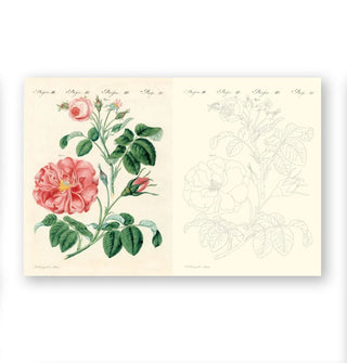 Page spread from John Derian's Flowers Colouring Book features a rose illustration at left and outlined illustration at right for the reader to color in
