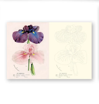 Page spread from John Derian's Flowers Colouring Book features an iris illustration at left and outlined illustration at right for the reader to color in