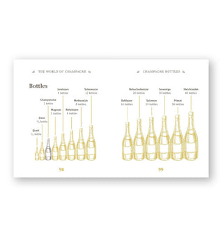 Page spread from The Little Book of Champagne features labeled illustrations of international bottle sizes