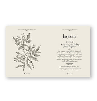 Page spread from The Little Book of Floriography features a section on Jasmine with illustration