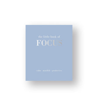 Light blue cover of The Little Book of Focus features silver foil title lettering