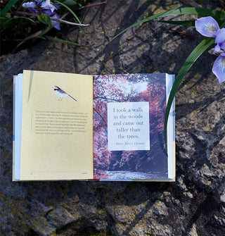 A Little Book of Japanese Contentments lays open on a rocky surface, turned to a page that says, "I took a walk in the woods and came out taller than the trees."