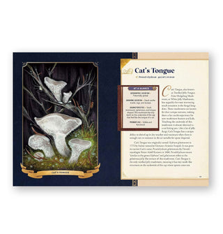 Page spread from The Little Book of Mushrooms features a section on Cat's Tongue alongside a detailed illustration