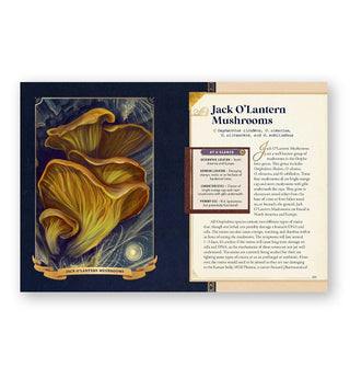 Page spread from The Little Book of Mushrooms features a section on Jack O'Lantern Mushrooms alongside a detailed illustration