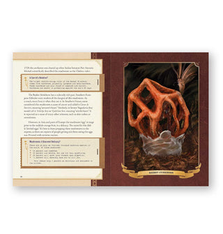 Page spread from The Little Book of Mushrooms features a section on Basket Stinkhorn including a detailed illustration