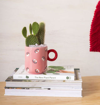 Pink and red heart eyes mug used as a planter for a cactus sits atop a stack of books 