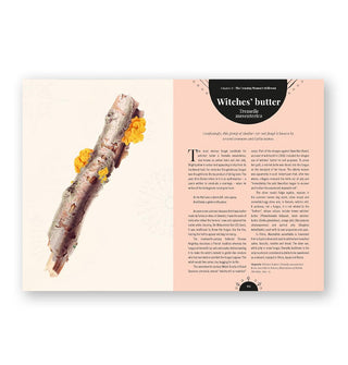 The Magic of Mushrooms: Fungi in Folklore, Superstition and Traditional Medicine