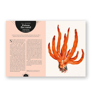 The Magic of Mushrooms: Fungi in Folklore, Superstition and Traditional Medicine