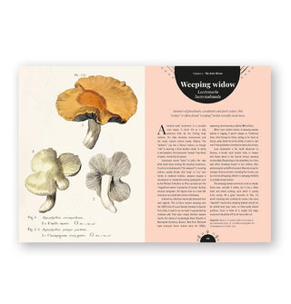 The Magic of Mushrooms: Fungi in Folklore, Superstition and Traditional Medicine
