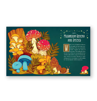 Page spread from Mushroom Magick features Part 1: Mushroom Genera and Species with accompanying full-color illustration of mushrooms, leaves, and a snail