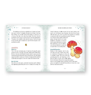 Page spread from Mushroom Magick features a section on the Amanita with accompanying illustration at right