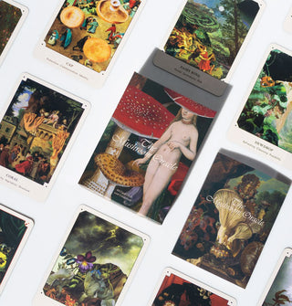 Box and samples of the Mushroom Oracle deck of cards featuring colorful classical collages