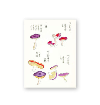 Sample illustration from the Mushroom Postcards collection
