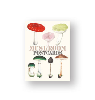 Cover of Mushroom Postcards features colorful illustrations of various mushroom species