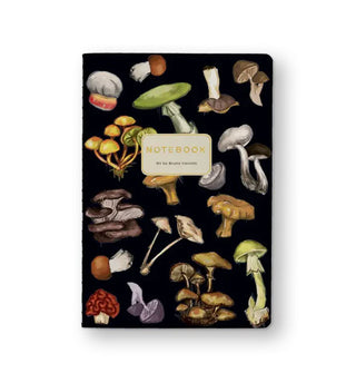 Black Bruno Visconti notebook cover with gold lettering in a central white title block features colorful painted illustrations of various mushrooms