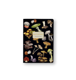 Black Bruno Visconti notebook cover with gold lettering in a central white title block features colorful painted illustrations of various mushrooms