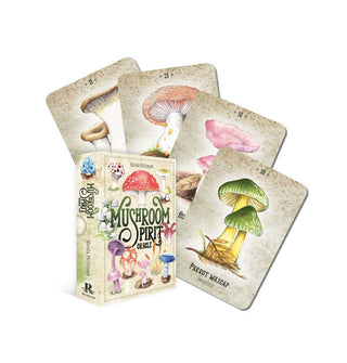 Box and four-card spread of Mushroom Spirit Oracle cards