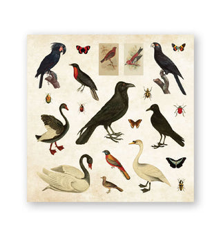 Page from the Mystical Ephemera! sticker book features various illustrations of birds and insects