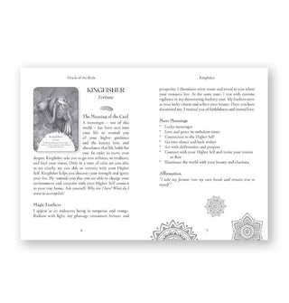 Page spread from the Oracle of the Birds deck guidebook features a section explaining the significance of the Kingfisher