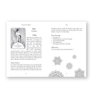 Page spread from the Oracle of the Birds deck guidebook features a section explaining the significance of the Ibis