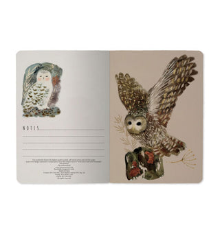 Page spread from owls notebook features a small lined section for notes alongside two owl illustrations